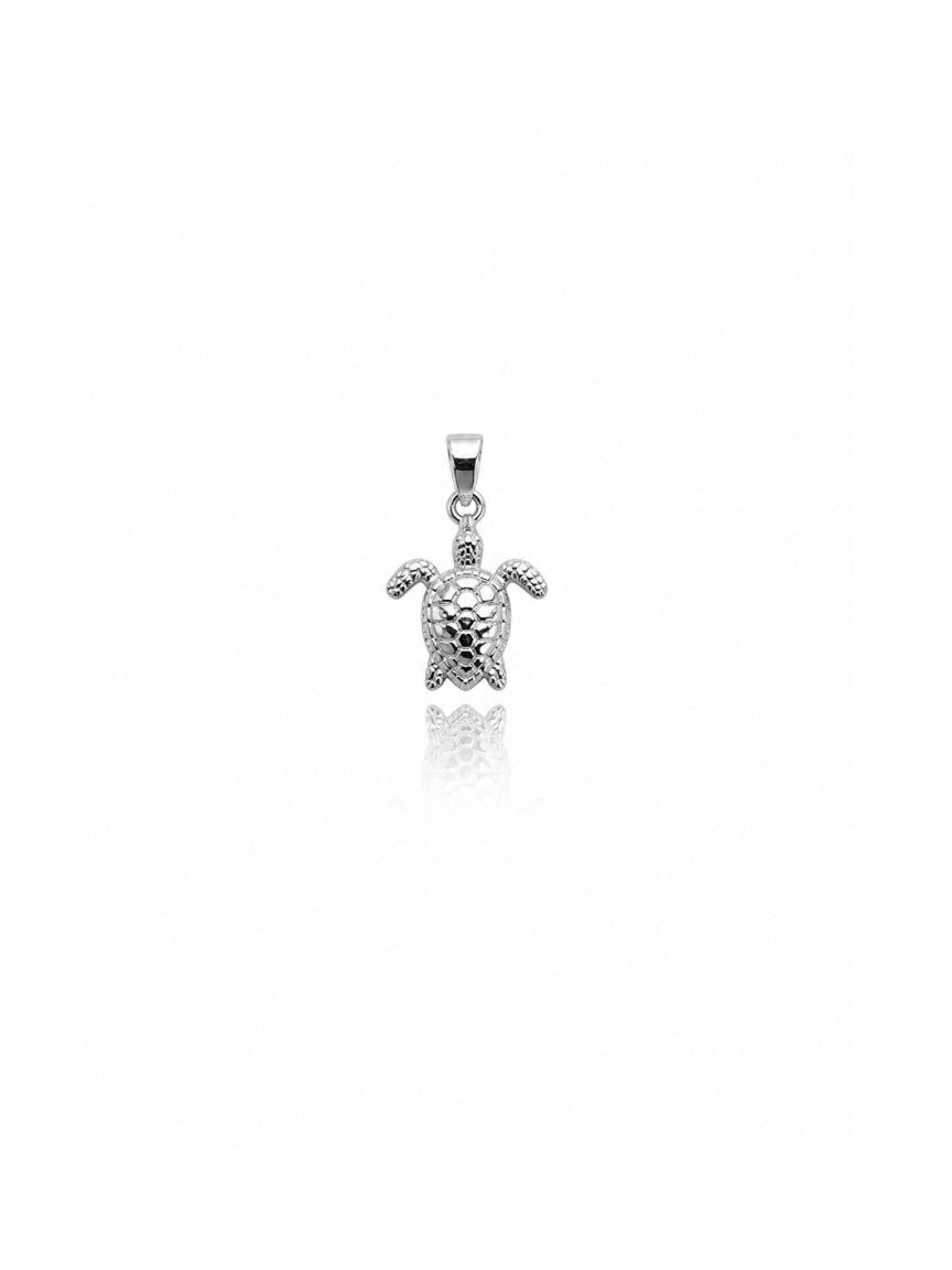 Charms Turtle