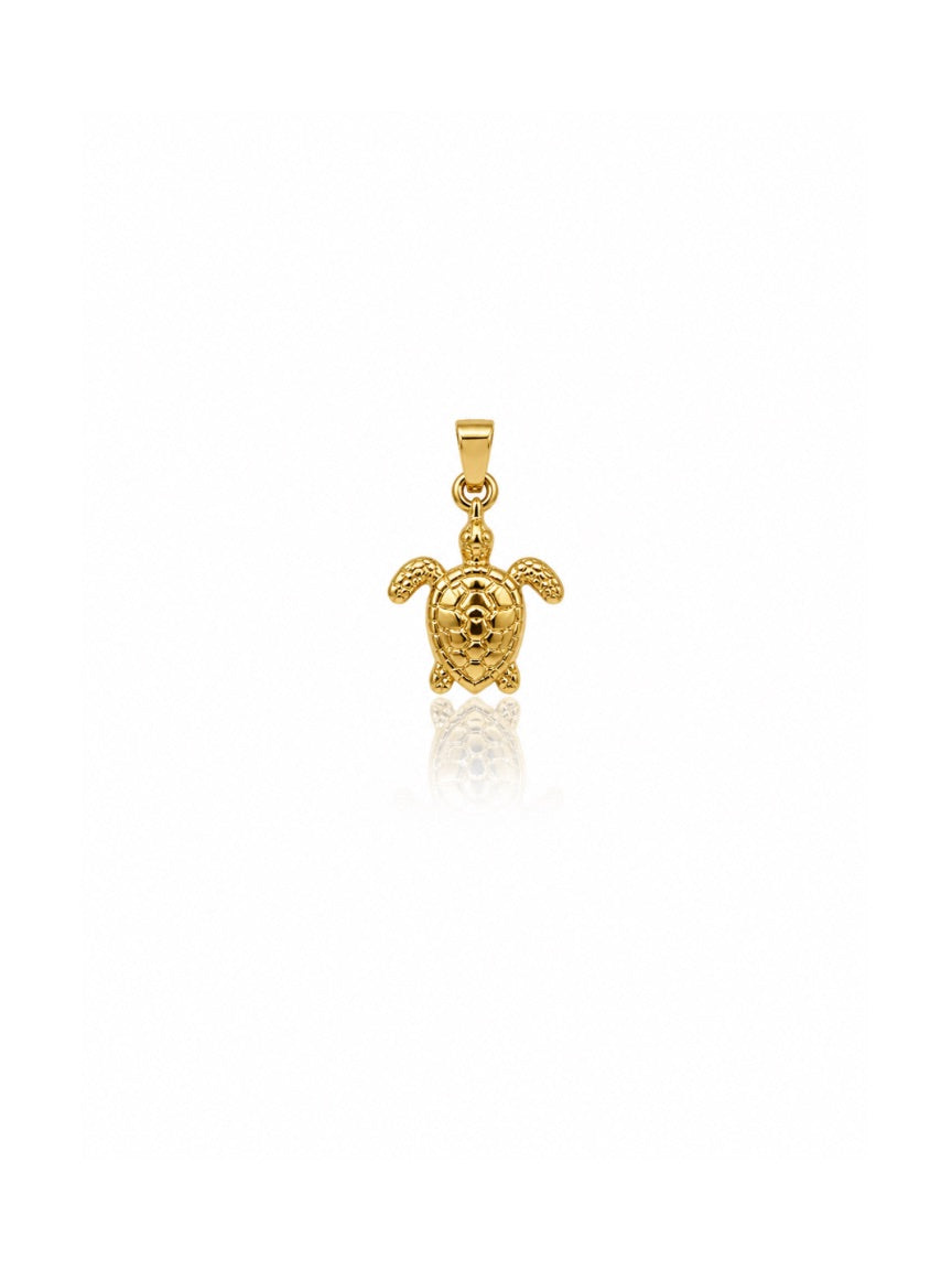 Charms Turtle
