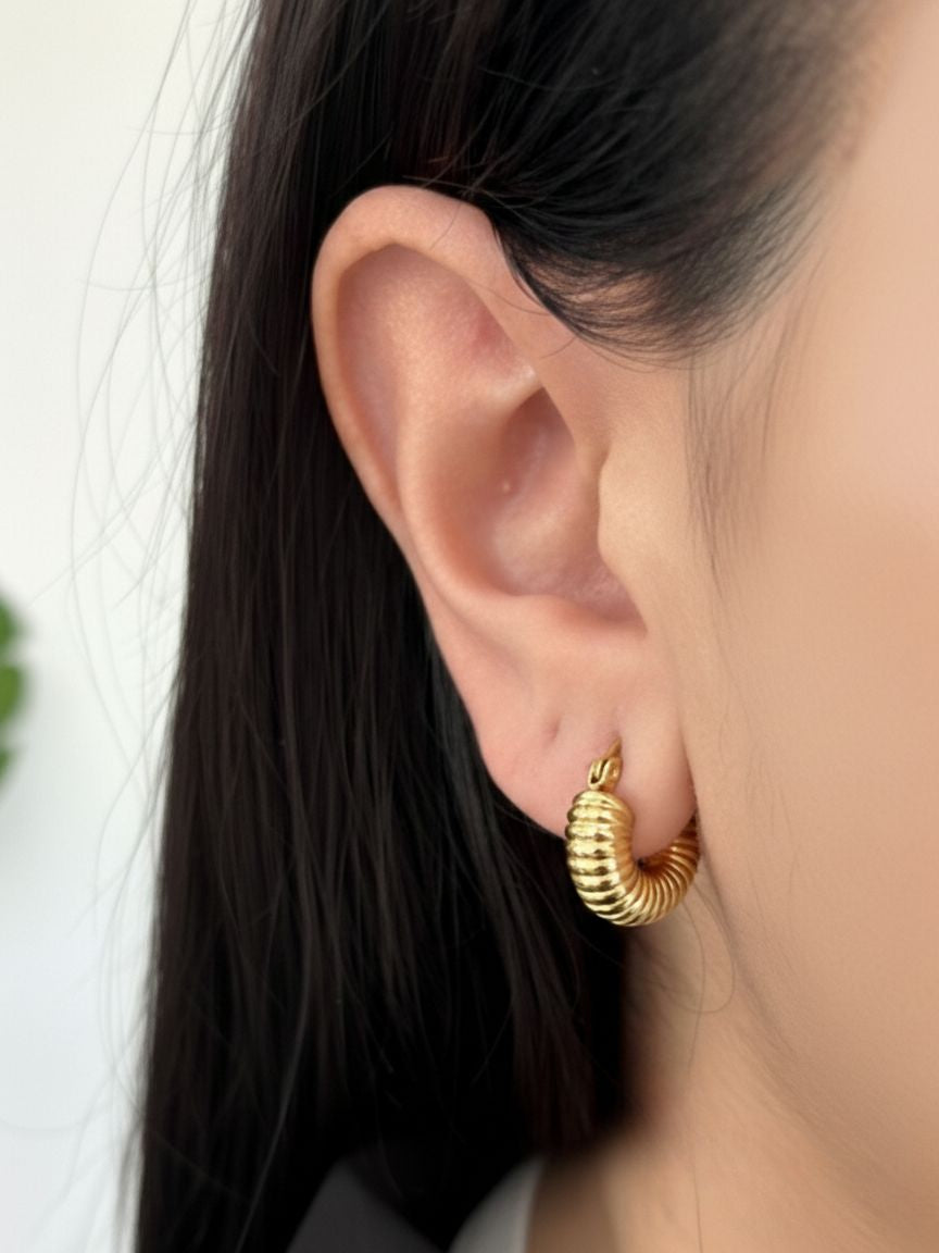 Orecchini Mina Small